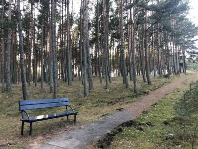 «Содра»: разрыв между среднемесячными доходами от трудовой деятельности в Вильнюсе и других городах Литвы достиг 45 %