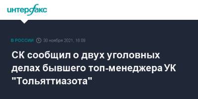СК сообщил о двух уголовных делах бывшего топ-менеджера УК "Тольяттиазота"