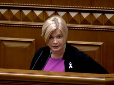 Геращенко заявила, что в налоговом законе учли две взаимоисключающих правки