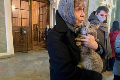 Кошка Серафима перешла из Эрмитажа на работу в Петропавловский собор Петербурга