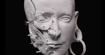 Вплоть до сережек в ушах. Ученые визуализировали лицо женщины, жившей в Бронзовом веке (видео)