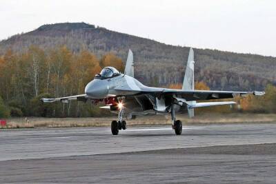 Sohu: Трюки высшего пилотажа Су-37 на авиасалоне Фарнборо принесли России 10 млрд долларов
