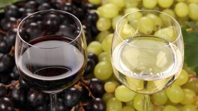 Напитки кубанских производителей вошли в рейтинг самых качественных вин России