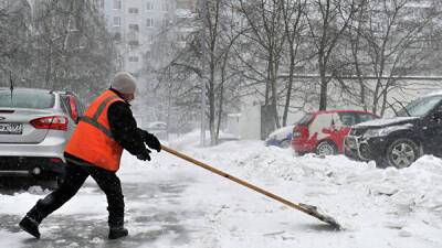 Снегопад в Петербурге спровоцировал небывалый спрос на услуги дворников
