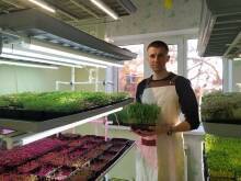 Как выращивать микрозелень и можно ли сделать из сити-фермерства бизнес [+ВИДЕО] - skuke.net - Ростовская обл. - Батайск