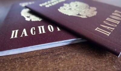 Замена паспорта РФ на портале госуслуг
