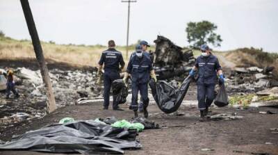 Новый иск Нидерландов по MH17 сильно ударит по России – эксперт