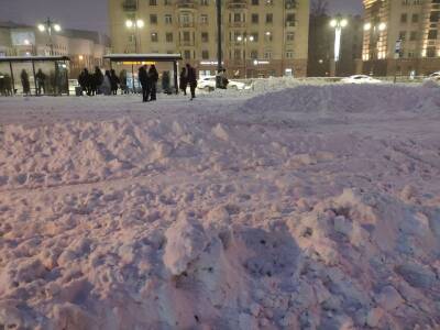 МЧС Ленобласти: снегопад в регионе задержится еще на три дня