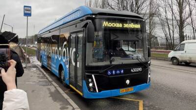 Москва к 2030 году останется без автобусов - vm.ru - Москва - Экология