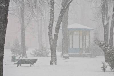 Снег не прекратит идти в Ленобласти до третьего декабря