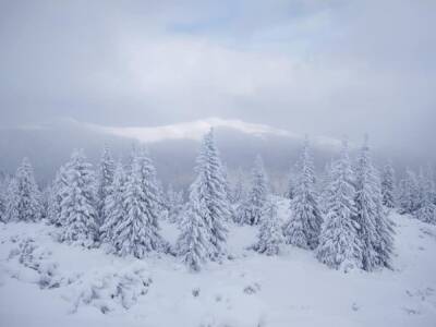 Украинские Карпаты засыпает снегом: туристов просят не ходить в горы