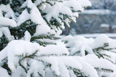 1 декабря в Смоленской области будет холодно и снежно