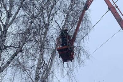 В Курске с 1 по 3 декабря движение на трех участках улиц будет перекрыто из-за сноса деревьев
