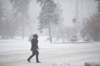 В Волгоградской области 1 декабря ожидается сильный ветер до 27 м/с