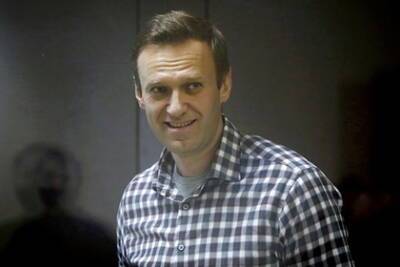 Алексей Навальный - Вероника Полякова - Суд признал законным уголовное дело о мошенничестве Навального - lenta.ru - Москва - Россия