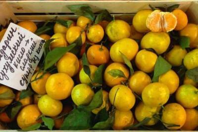 Абхазских мандаринов на российском рынке в этом году в два раза меньше