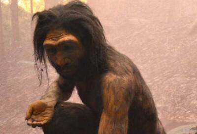 Учёные: Предки людей лишились клыков около 4,5 млн лет назад