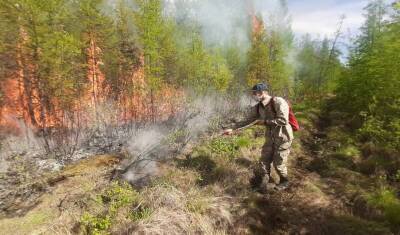 Добровольцам, которых привлекли к тушению пожаров в Якутии, не выплатили 184 млн руб.