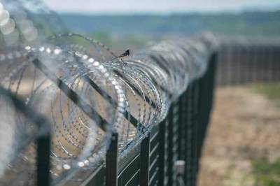 В Польше подписали закон о строительстве «стены» на границе с Белоруссией