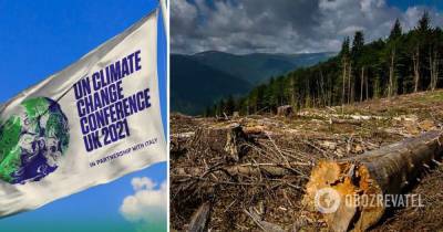 Климатический саммит в Глазго: лидеры более 100 стран мира пообещали прекратить вырубку лесов