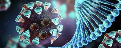 Ученые университета Северной Каролины и Дьюка выявили новые антитела против ковида