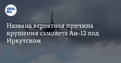 Названа вероятная причина крушения самолета Ан-12 под Иркутском