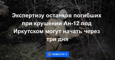 Экспертизу останков погибших при крушении Ан-12 под Иркутском могут начать через три дня