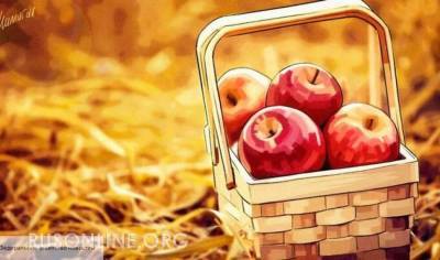 Sad24: Польша возмущена намерениями России начать экспорт яблок