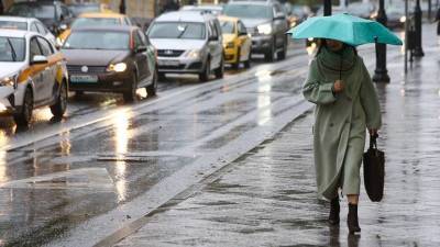 «Небольшой дождь»: синоптики рассказали москвичам о погоде 4 ноября
