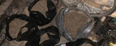 Более трёх килограммов марихуаны изъяла полиция у 26-летнего жителя Искитимского района