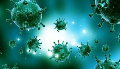 Не только COVID-19: Дания сообщила о вспышке высокопатогенного гриппа