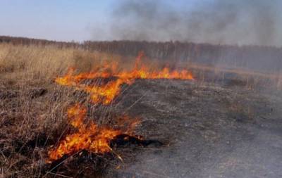 Пожарным могут разрешить штрафовать украинцев за сжигание травы