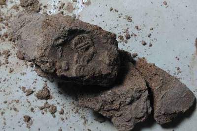 Археологи обнаружили уникальные «женские» печати эпохи хеттов