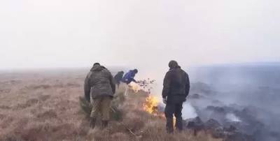 У мережі користувачі сміються з того, як у Росії гасять пожежу гіллям дерев
