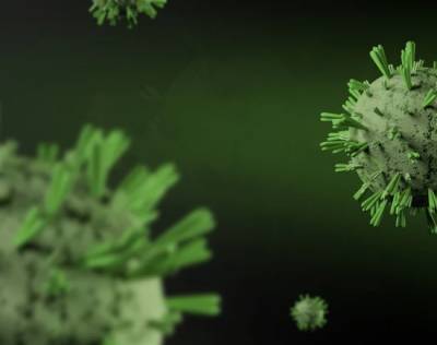 Медик Руженцова: Пациент с отрицательным тестом на коронавирус больше не заразен