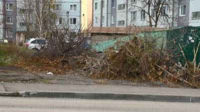 Жители улицы Лядова пожаловались на кучу возле контейнеров