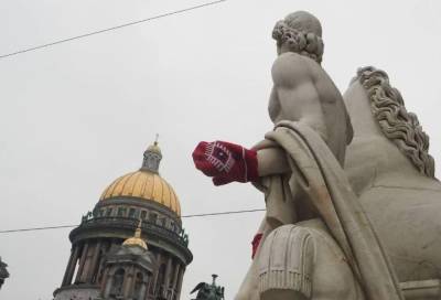 Нарядивших статуи Петербурга в варежки мужчин отпустили после задержания