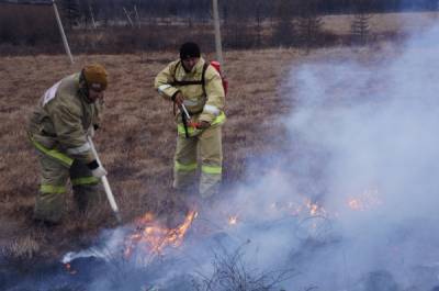 Пожар в тундре в Магаданской области локализован