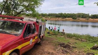 Житель Бразилии, спасаясь от пчел, прыгнул в озеро с пираньями и погиб