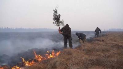 Пожарные остановили продвижения огня по тайге