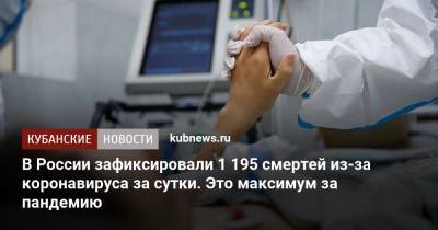В России зафиксировали 1 195 смертей из-за коронавируса за сутки. Это максимум за пандемию