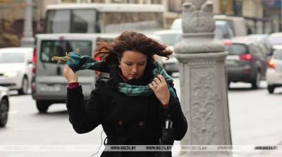 Оранжевый уровень опасности из-за сильного ветра объявлен в Беларуси 5 ноября