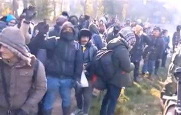 Очевидец: Белорусские военные свозят на границу камни, чтобы мигранты бросали их в польских пограничников