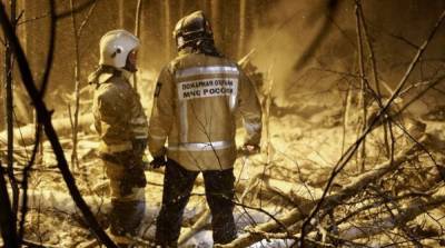 Авария самолета под Иркутском: назвали вероятную причину падения