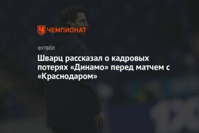 Шварц рассказал о кадровых потерях «Динамо» перед матчем с «Краснодаром»