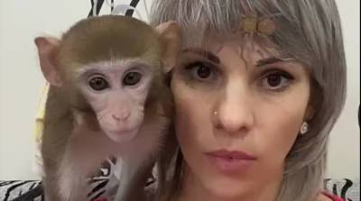 Реакция обезьянки на фейкового паука рассмешила до слез юзеров YouTube (Видео)