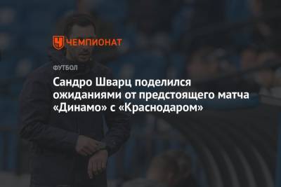 Сандро Шварц поделился ожиданиями от предстоящего матча «Динамо» с «Краснодаром»