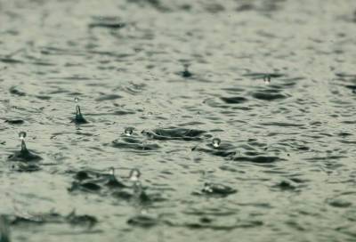 Умеренные дожди и 10 градусов тепла пообещали жителям Ленобласти 5 ноября