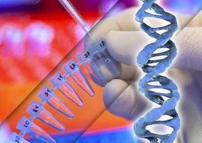 В СПЧ оценили возможное введение геномной экспертизы для всех россиян
