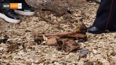 Из-за обнаруженных в центре Тюмени костей организовали доследственную проверку